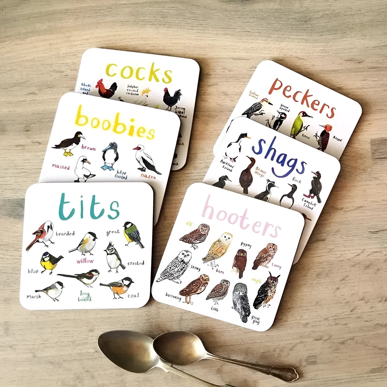 Set of six square bird pun coasters with different bird chart illustrations on white background