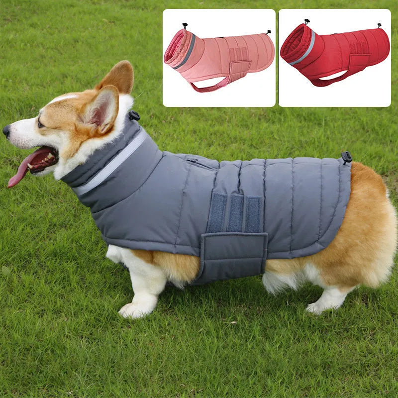 Dog trench coat cold-proof rain-proof in Gray Pink Red, sizes S XL, with bust and back length measurements