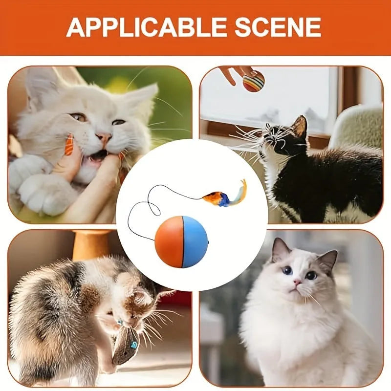 Interactive cat toy ball with plush mouse attachment showing blue and orange colours