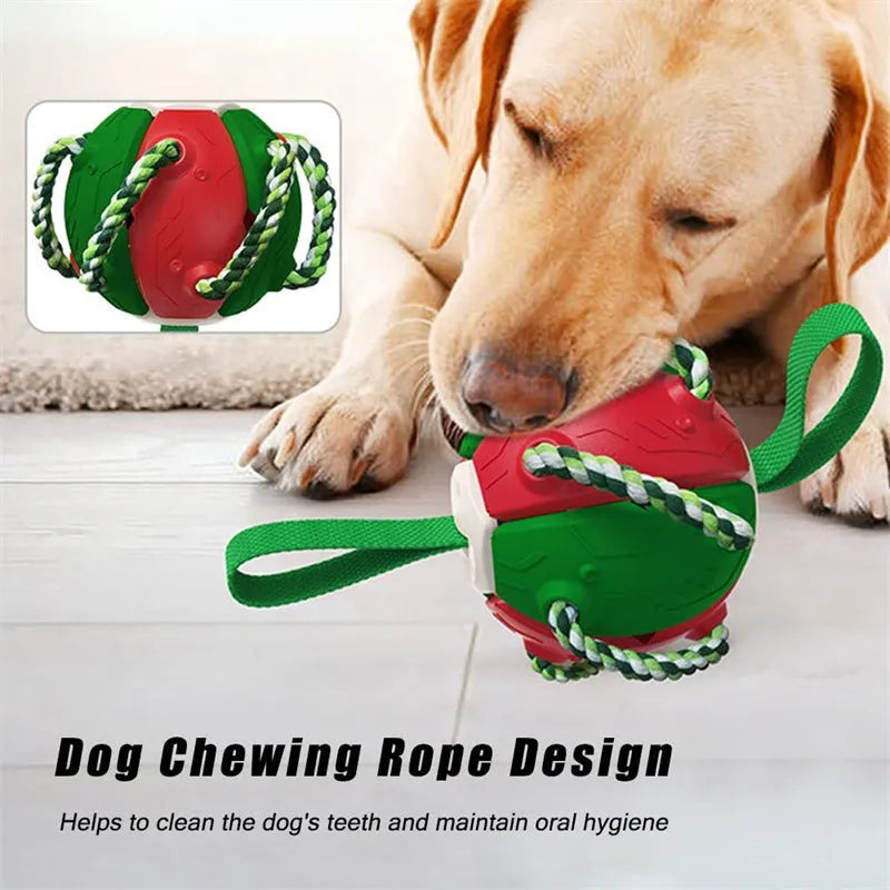 Interactive dog football soccer ball with tabs in blue, showing sphere form with cotton rope and nylon tug rope, on grass