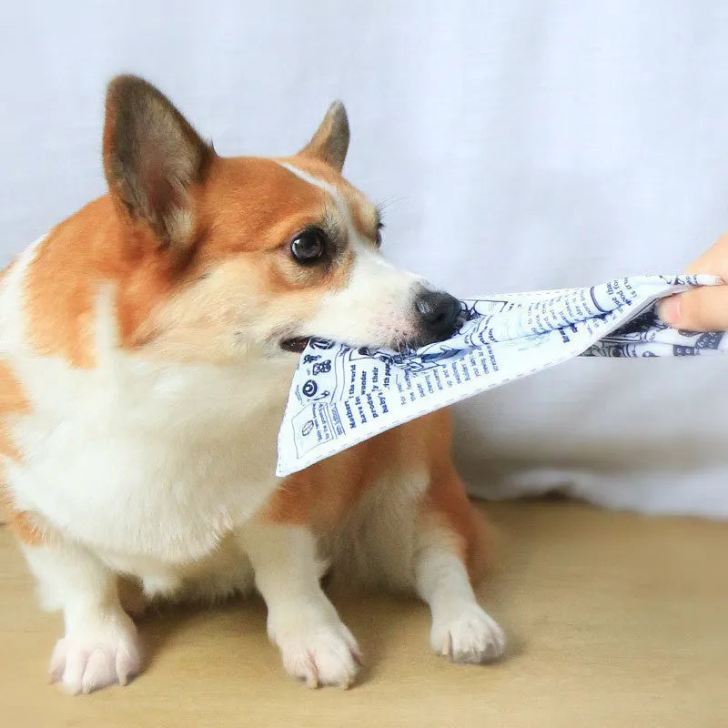 Tearproof dog toy with squeaker in newspaper or playing card designs for corgi and teddy puppies