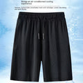 Men's summer loose fit polyester sports shorts in Black Ice Silk colour