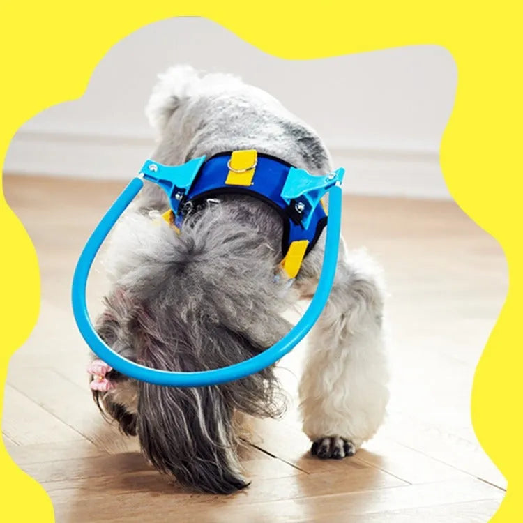 Blue adjustable dog blind anti-collision ring for pet safety protection