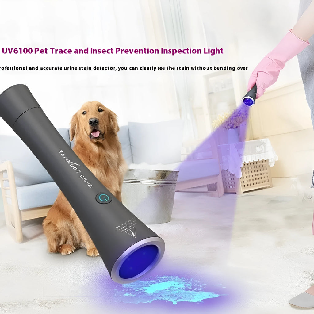 UV detection flashlight with aluminium alloy body showing USB Type-C charging port