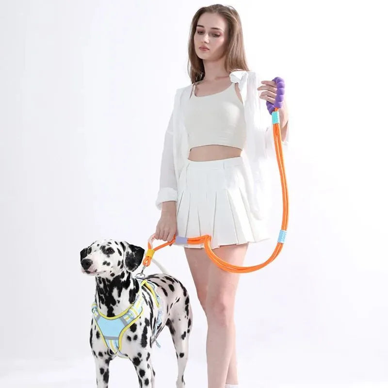 Nylon dog lead with foam handle showing black, light purple, sky blue and yellow colour options