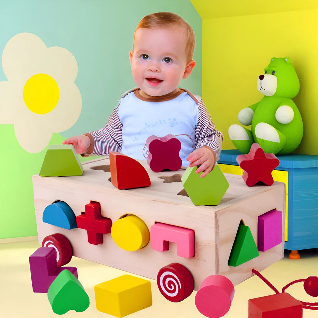Wooden shape matching building blocks in pine wood with water-based paint, supplied in a sixteen hole intellectual box for children over 1 year old.