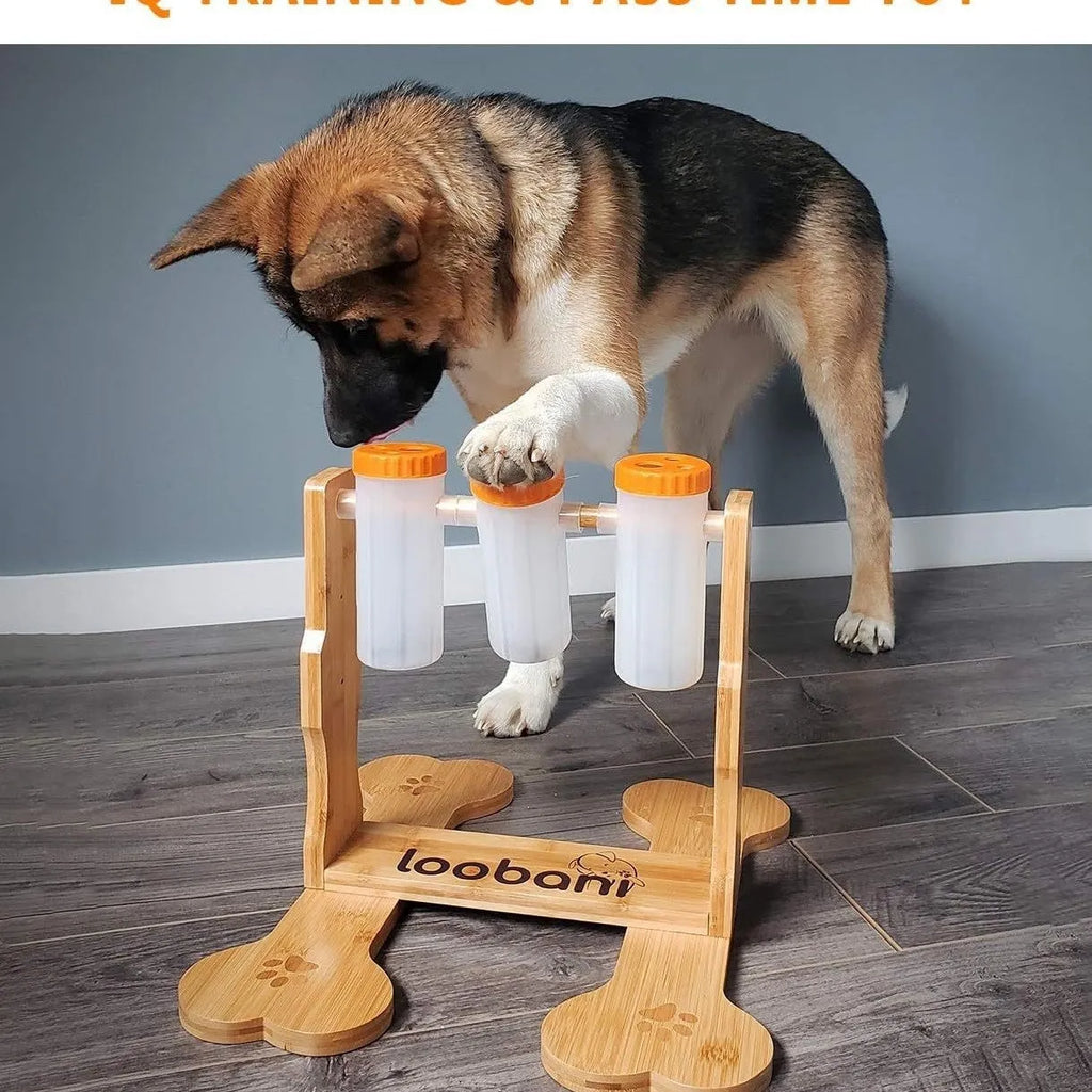 Wood colour wooden interactive dog puzzle feeder toy with dimensions 31x30x20cm