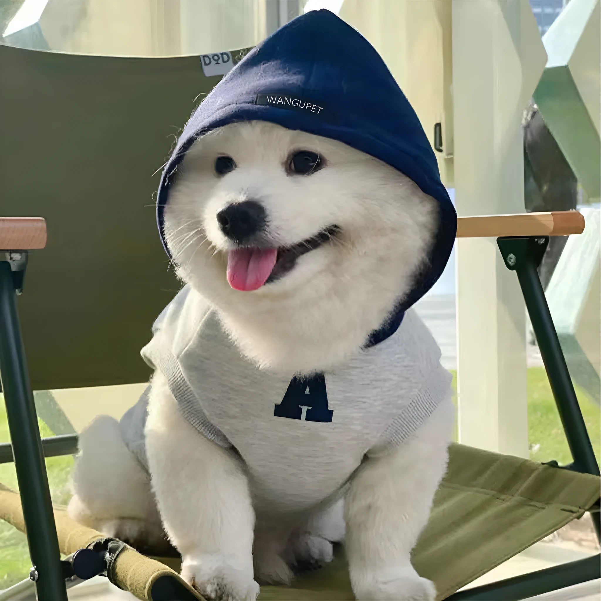 Blue and grey white polyester pet hoodie with reflective lettering on a cat or dog