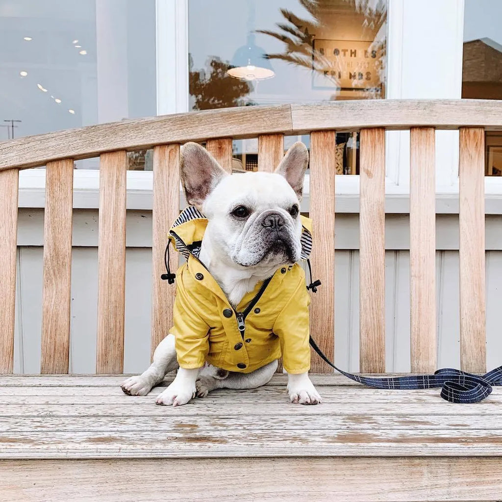 Yellow polyester dog raincoat with high-density twill windproof and waterproof design