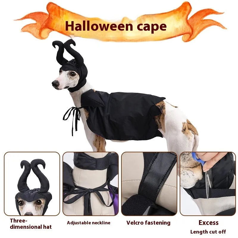 Black polyester Halloween dog cloak and hat set on a dog for pet costume
