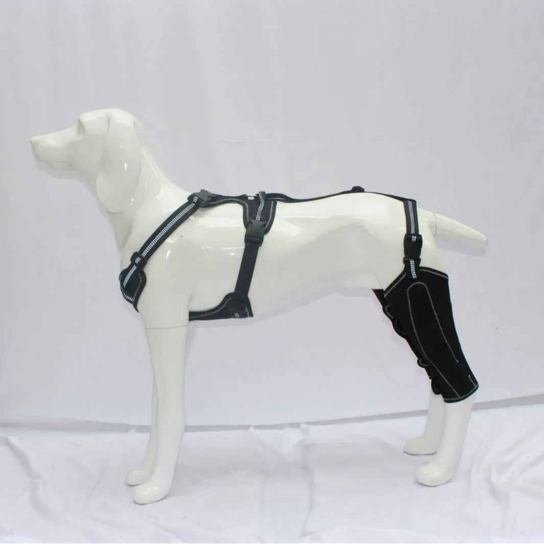 Black dog thigh protective sleeve with adjustable metal support for postoperative recovery