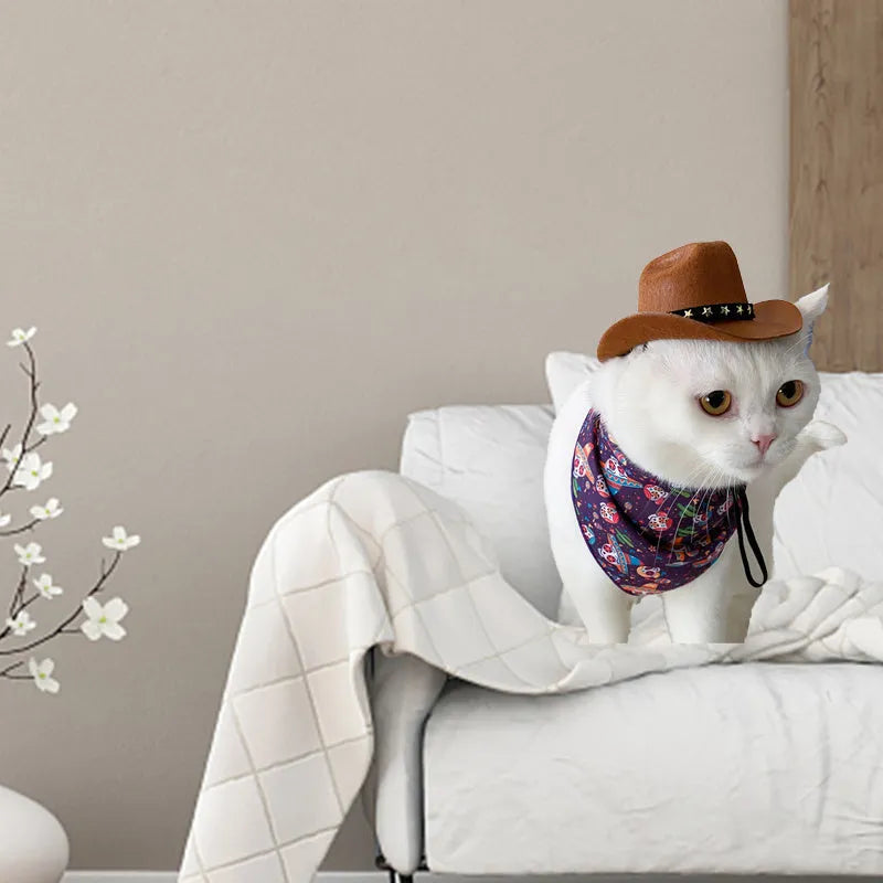 Black star pattern cowboy hat on pet with adjustable strap