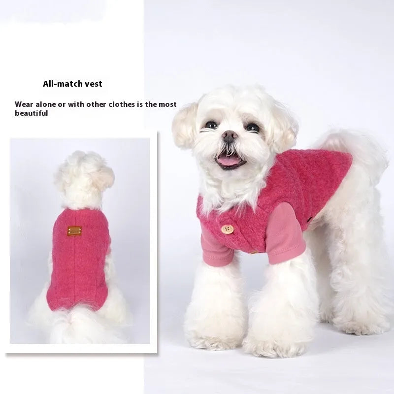 Small dog wearing a blue Korean-style cotton cashmere vest for autumn and winter pet clothing