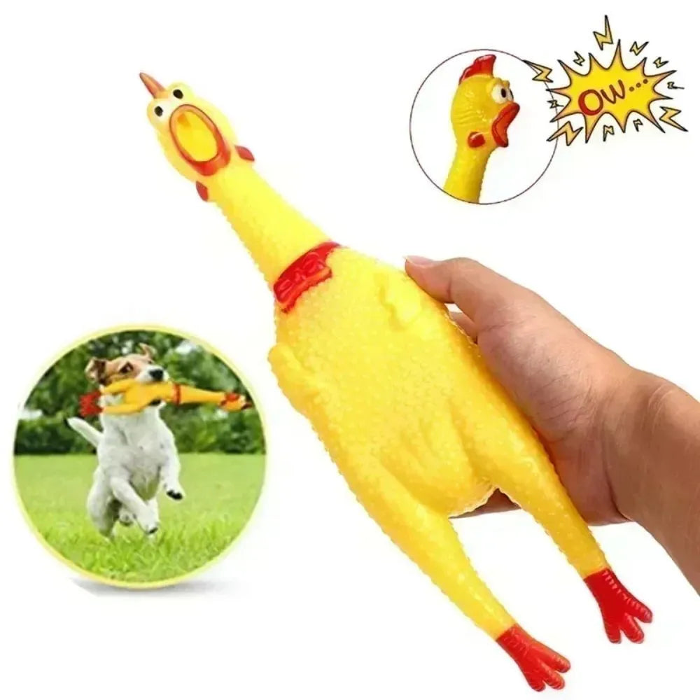 Yellow rubber screaming chicken dog squeak toy shown in three different sizes for small, medium, and large dogs