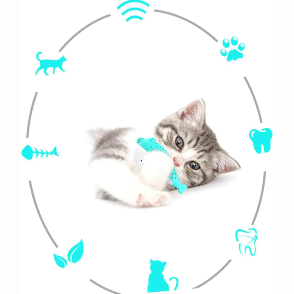Blue silicone fish-shaped chew and teaser toy for cats on a plain background.