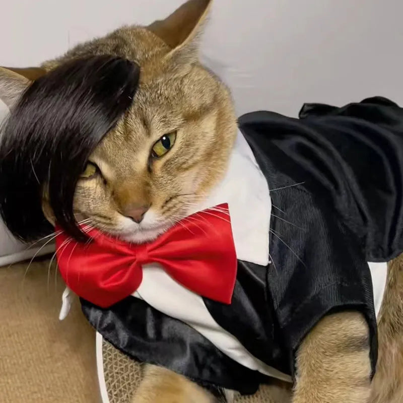 Black polyester cat wig with imitation braid design for costume wear