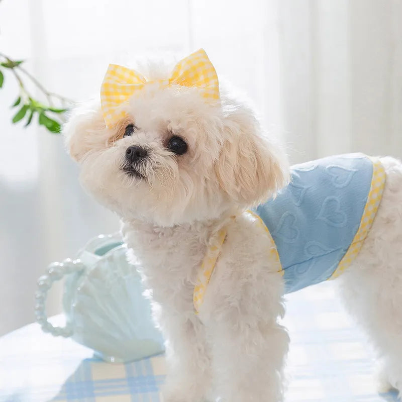 Small dog wearing a blue elastic vest with a bow and heart texture on the suspenders.