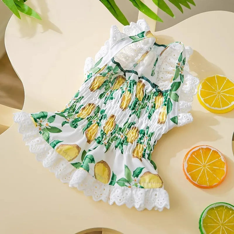 Rock yellow lemon princess style strap skirt dog dress on small dog