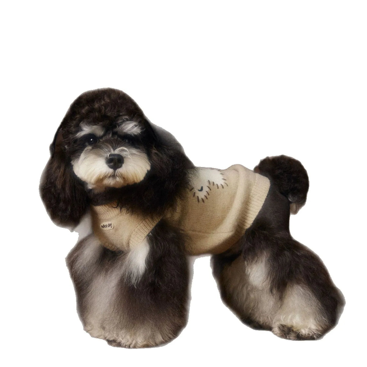Sleeveless wool pet sweater vest for small dogs in red or beige, sizes XS to XXL