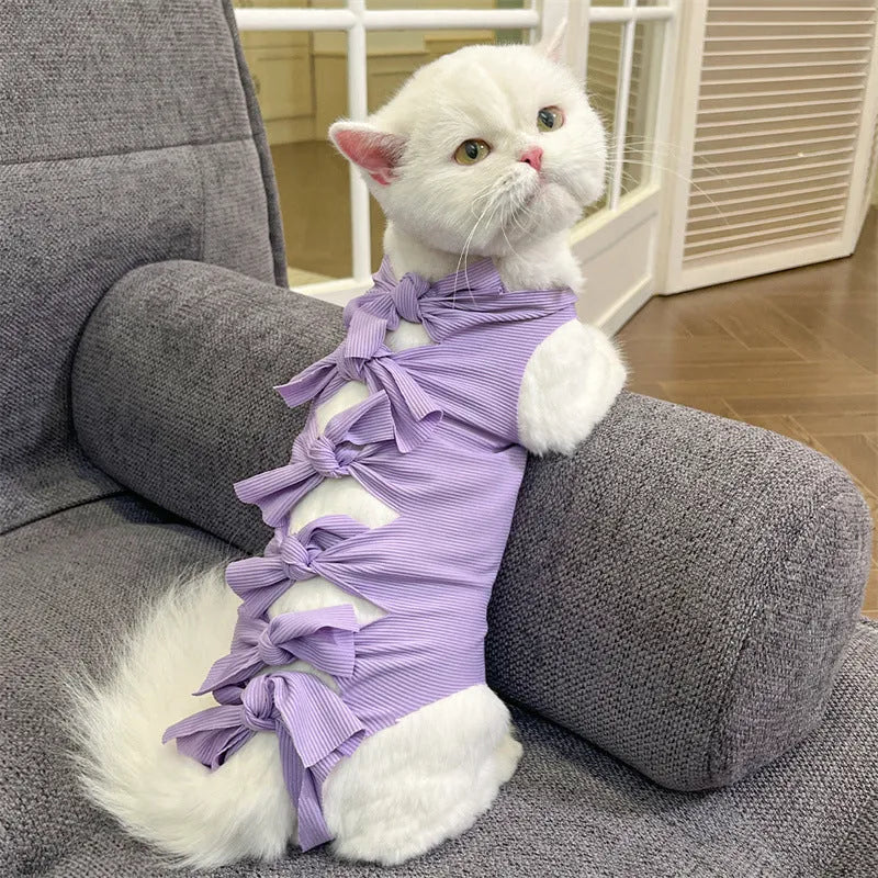 Blue lace-up cat recovery suit on a tabby cat, showing the back closure and full-body fit.
