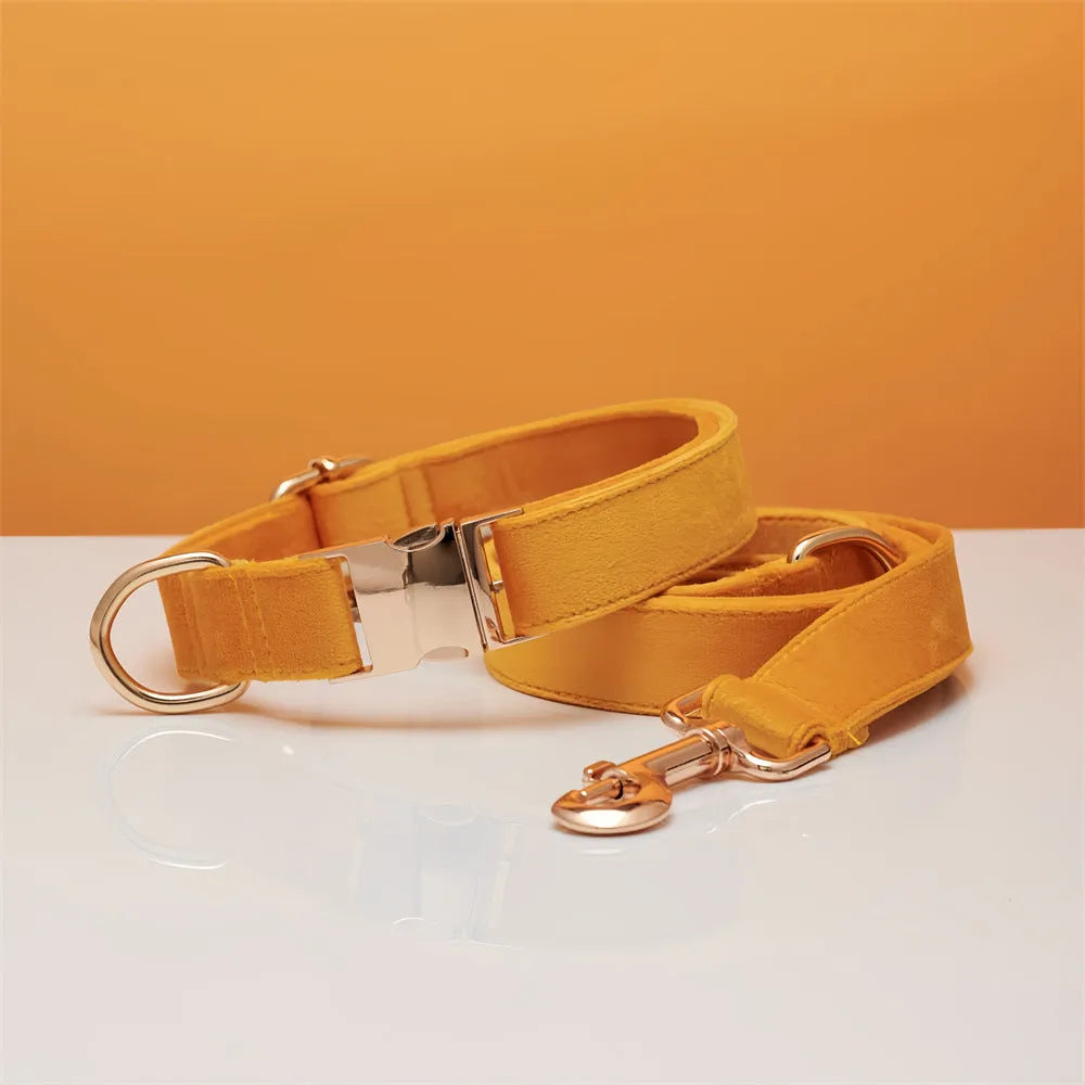 Striped wool dog collar in coral orange with attached leash on a neutral background