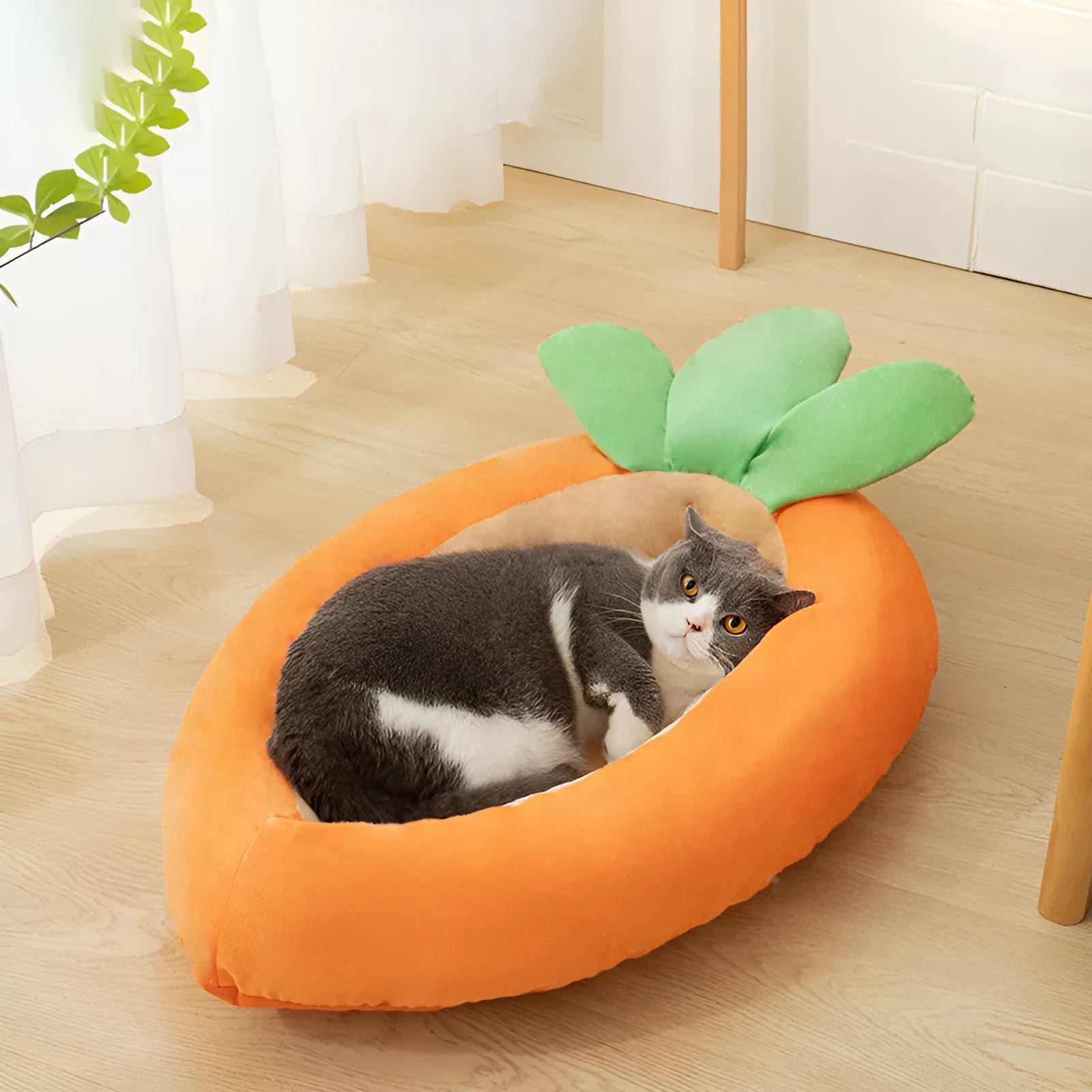 Carrot-shaped plush dog nesting bed with a soft blanket, shown in M and L sizes.