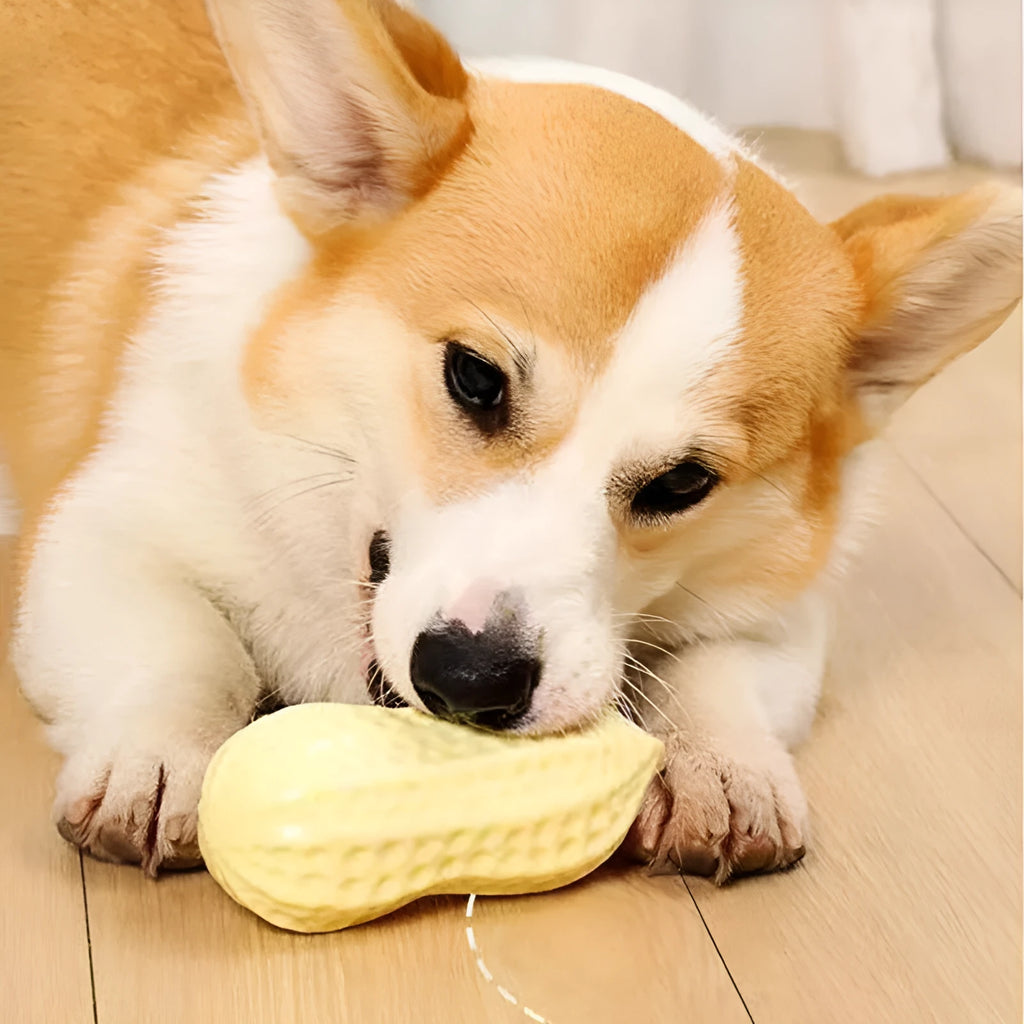 Yellow TPR peanut-shaped squeaky chew toy for dogs on a plain background.