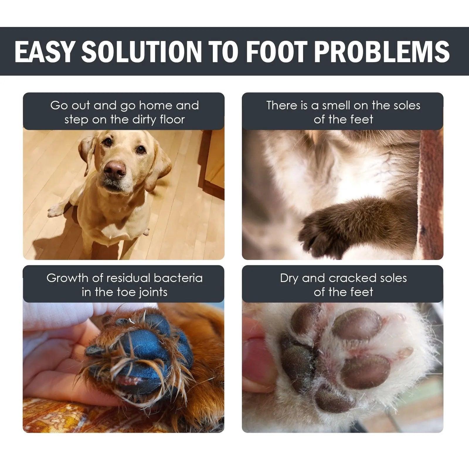 Dog foot mat care solution set with 100ml sole care solution, claw paste, washing cup, and towels on a tabletop
