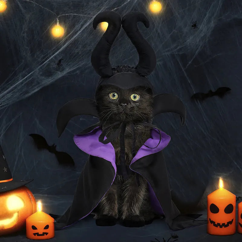 Black polyester Halloween dog cloak and hat set on a dog for pet costume