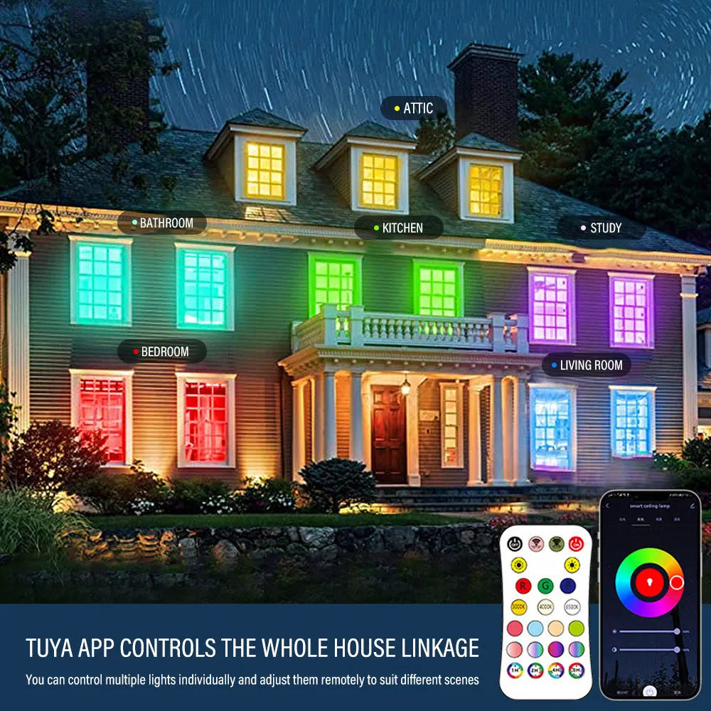 Black and white intelligent Bluetooth ceiling lamp with RGBCW full colour and colour temperature adjustment