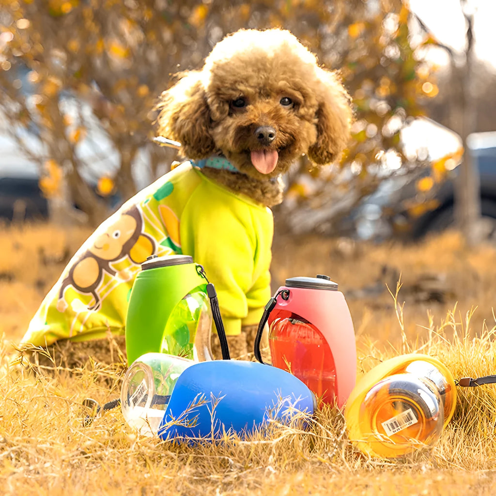 Blue portable pet water bottle with integrated drinking bowl, showing key lock mechanism.