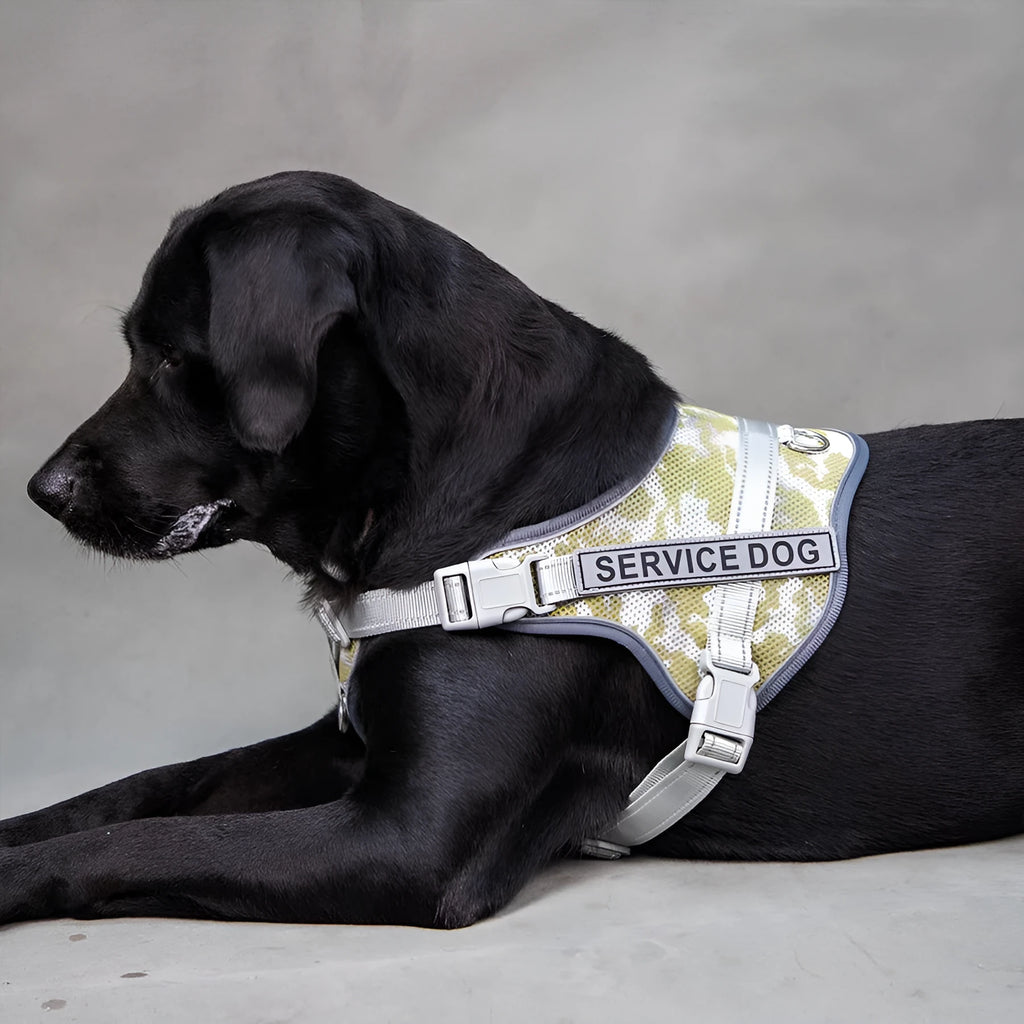 Colourful reflective pet harness with anti-strangulation design in polyester material