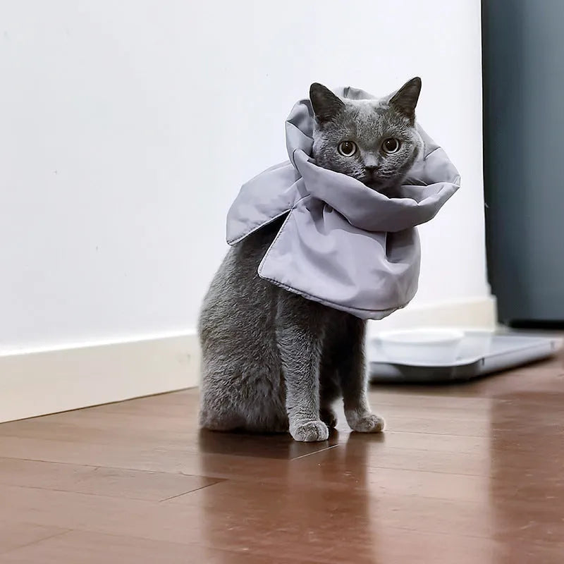 Soft adjustable light blue pet recovery collar with elastic buckle shown on a cat model.