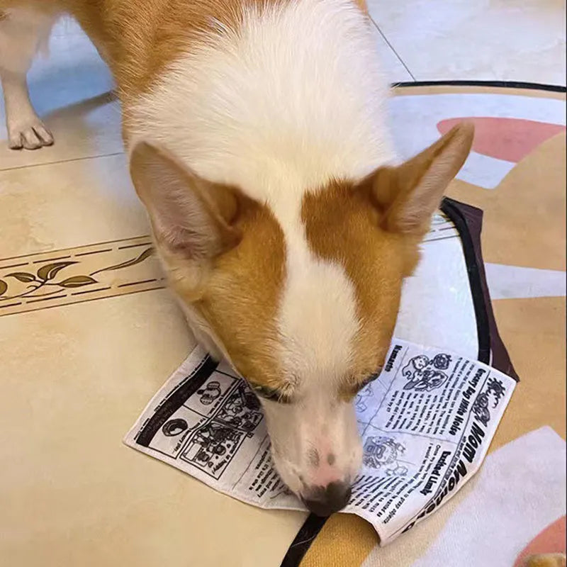 Tearproof dog toy with squeaker in newspaper or playing card designs for corgi and teddy puppies