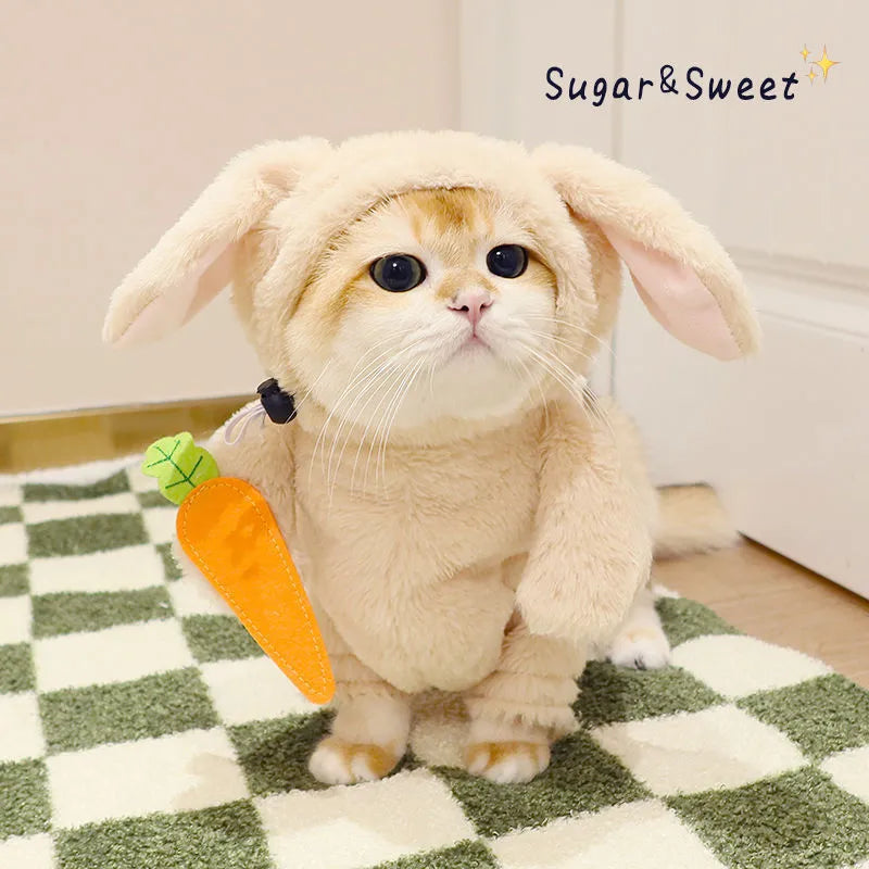 Cat and dog costume set with radish rabbit or bamboo panda clothes and carrot prop for spring and autumn