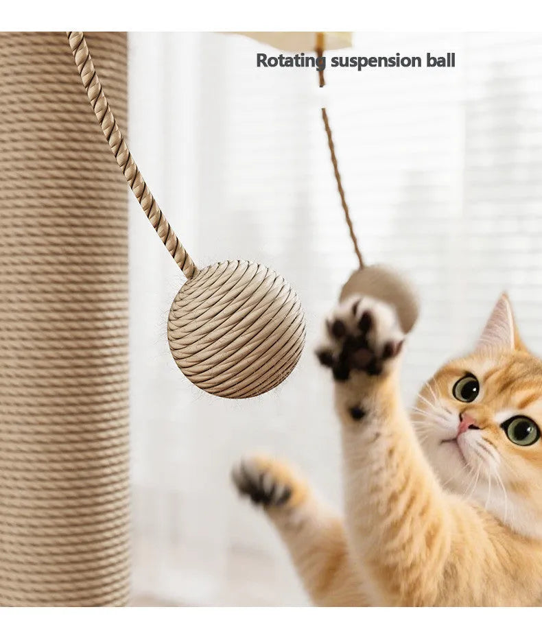 Scratch-resistant cat climbing frame with hanging ball, pine and multi-layer board