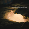 Battery-operated vinyl cat night lamp, 13cm wide and 34cm tall, cat mould, Christmas gift