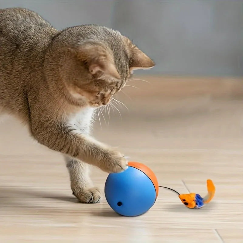 Interactive cat toy ball with plush mouse attachment showing blue and orange colours