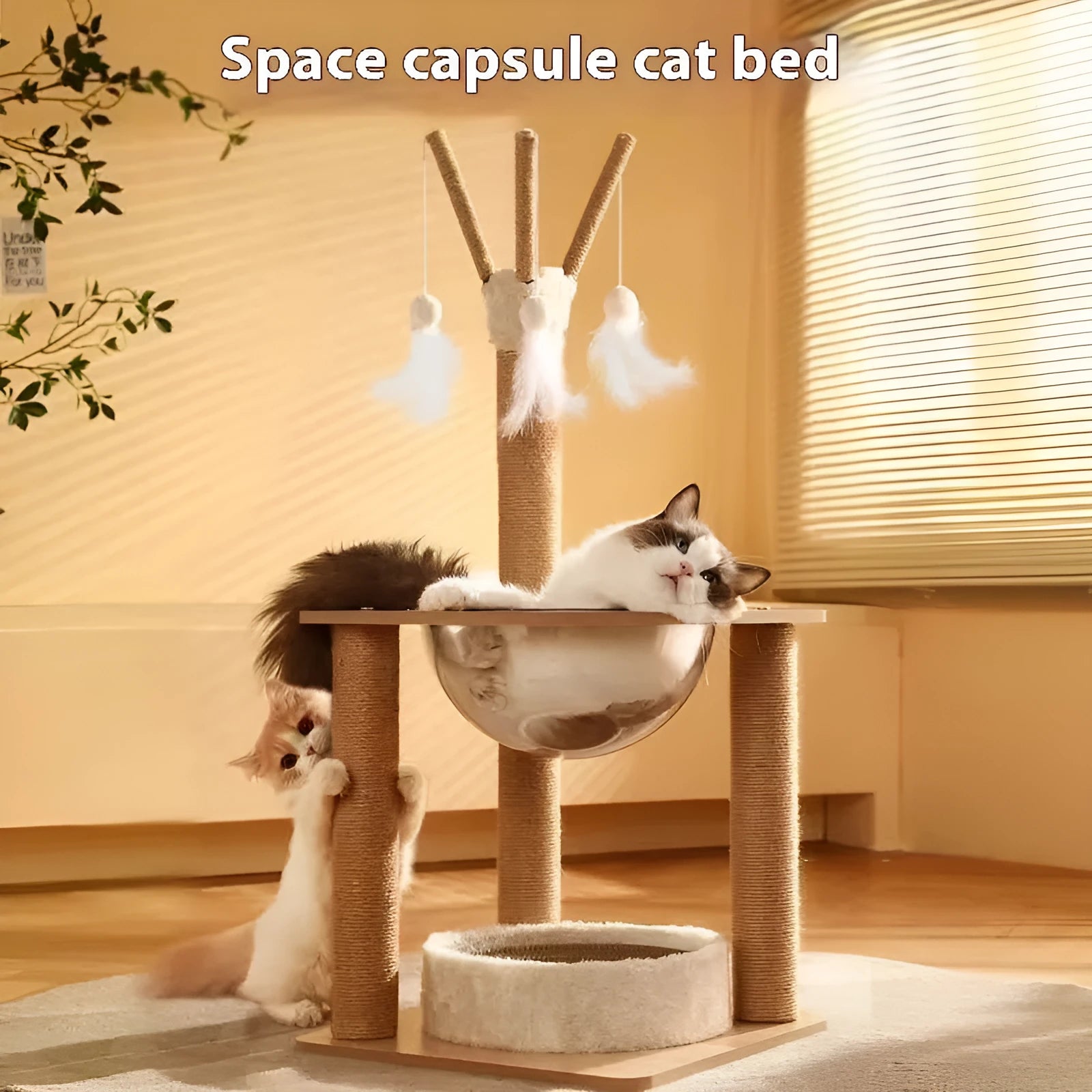 Wooden cat climbing frame with integrated space capsule in luxury colour finish
