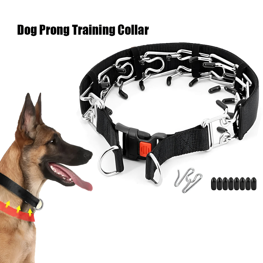 Dog training chain collar with adjustable spike design in reflective blue colour option