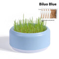 Blue hydroponic cat grass growing kit with potted cup and packets of seeds on a white background.