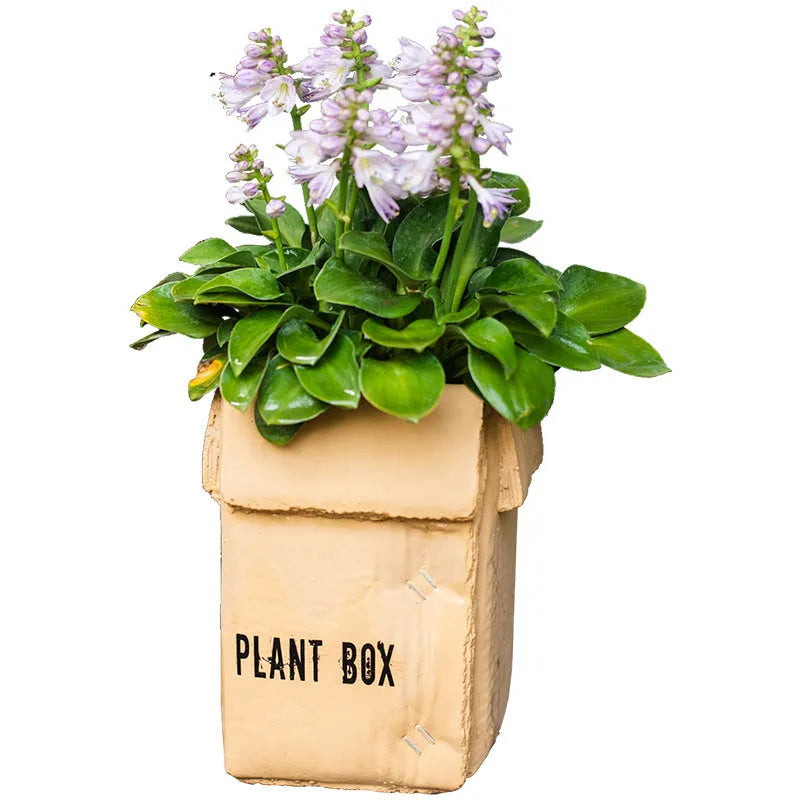 Cement brown paper box style flowerpot with drainage holes for indoor plants