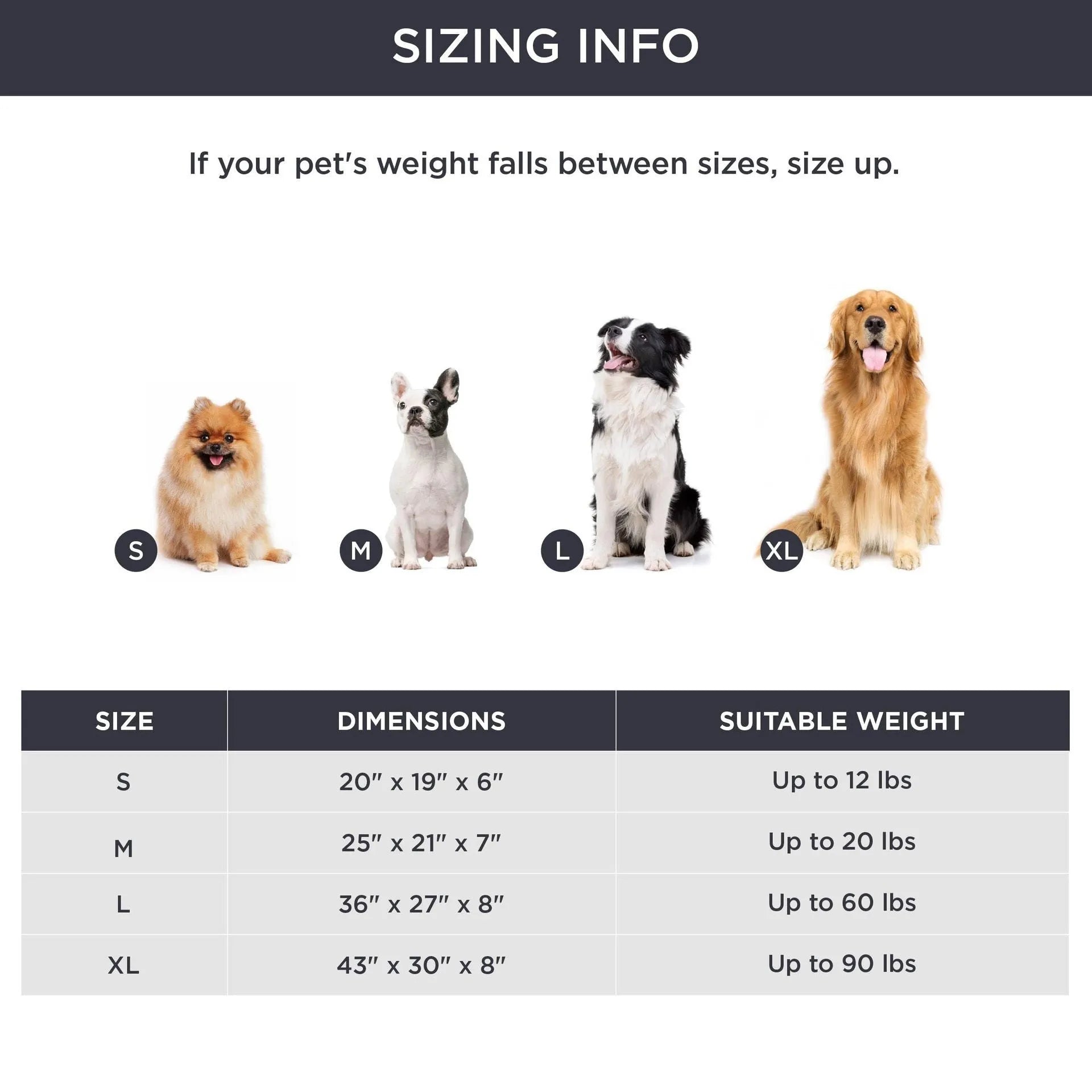 Beige raised cushion pet bed for a medium-sized dog on a wooden floor.