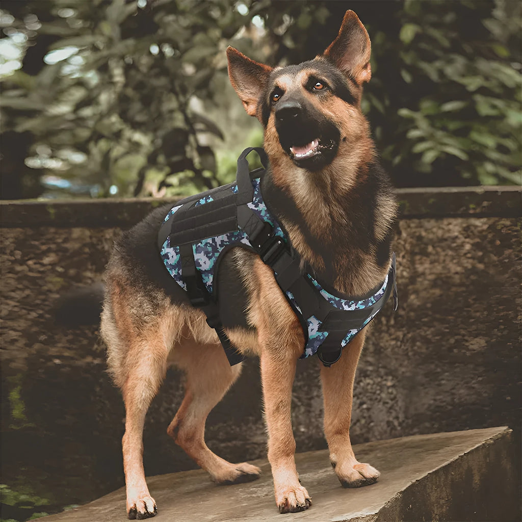 Large tactics camouflage dog harness with quick-release buckles and adjustable straps on a German Shepherd