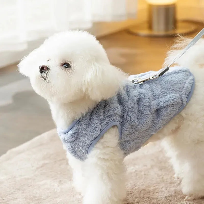 Two-legged dog winter coat in blue, green or yellow, cotton vest with heart pattern, sizes XS to XXL
