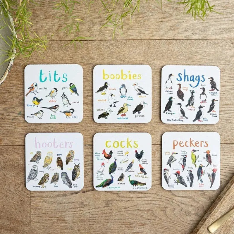 Set of six square bird pun coasters with different bird chart illustrations on white background