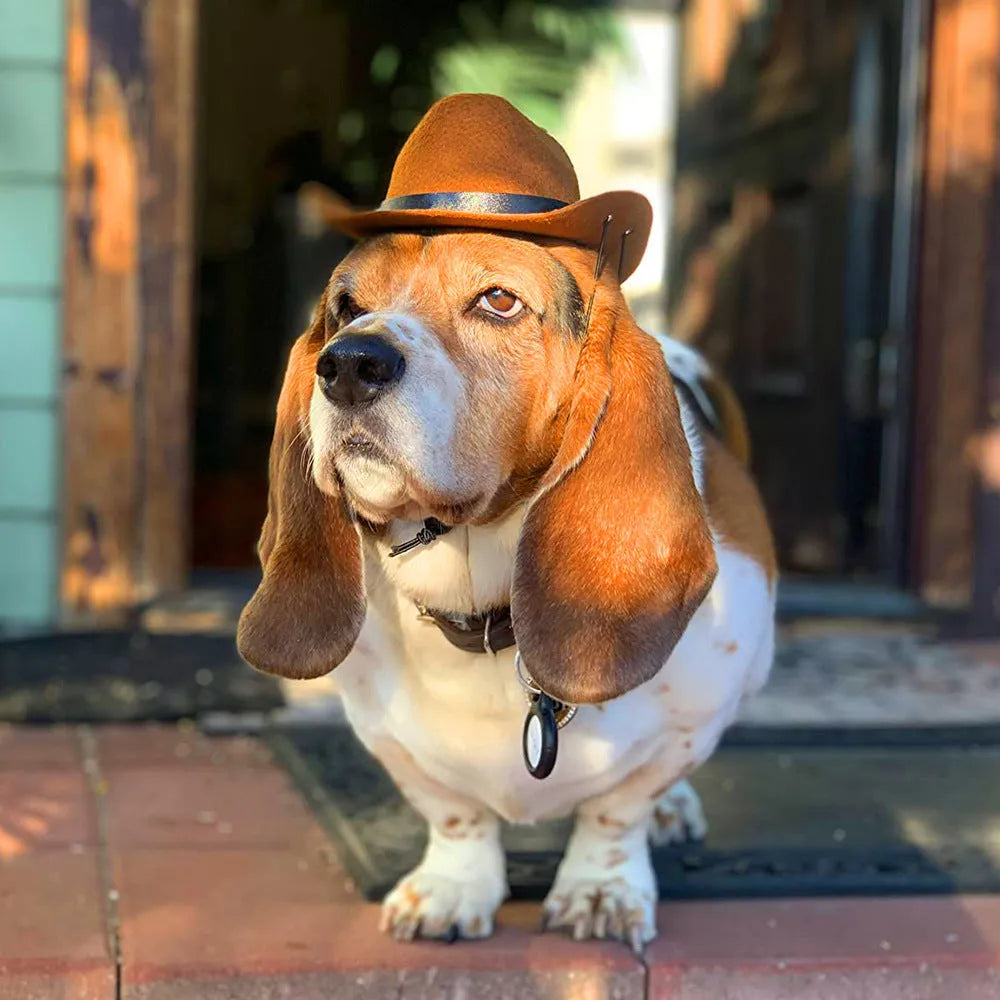 A small brown fabric cowboy hat for a dog, shown on a white background.