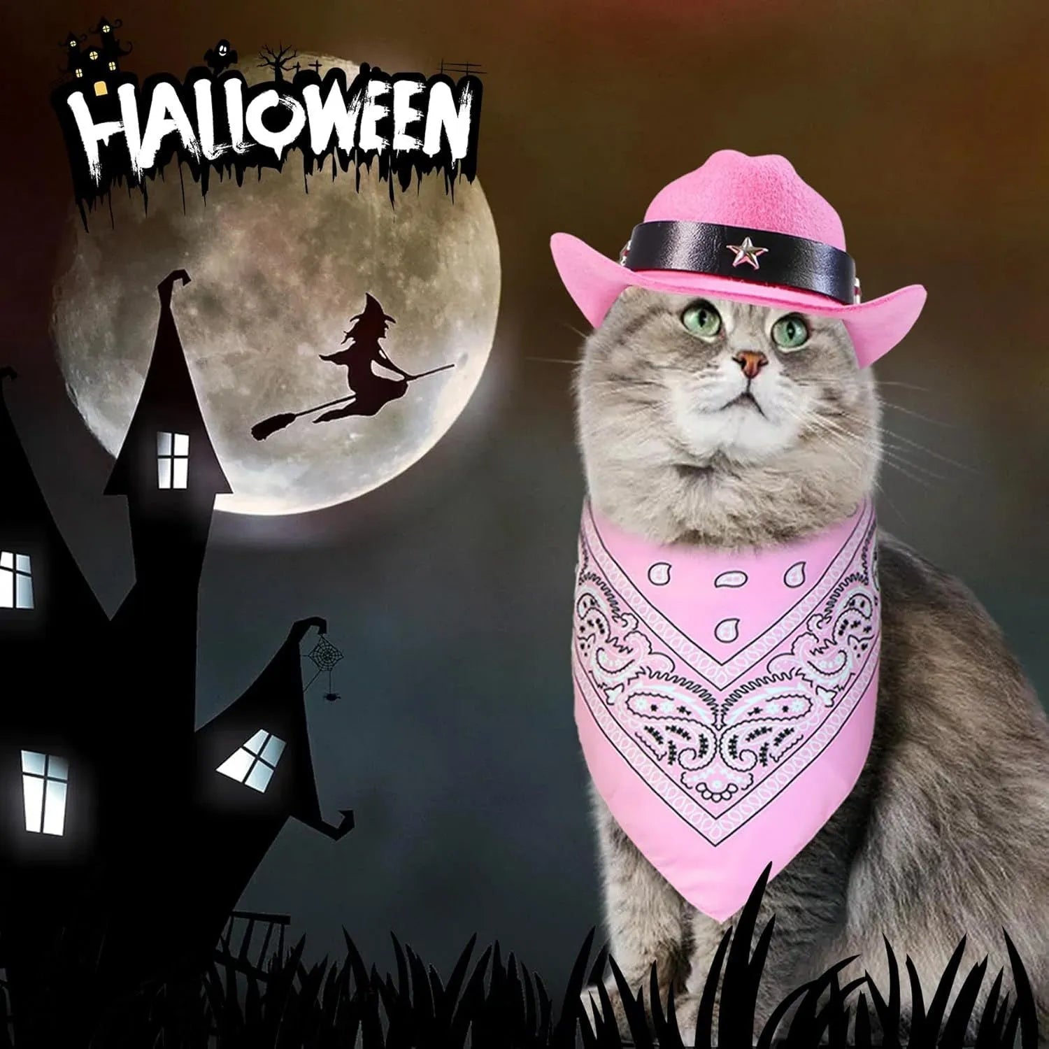 Cat wearing cowboy hat and bandana costume set for Halloween