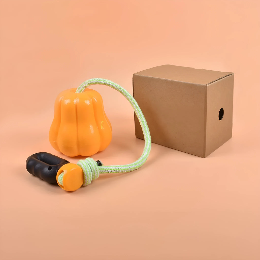 Orange plastic pumpkin-shaped dog toy with a molar-textured surface and a blue rope handle attached.