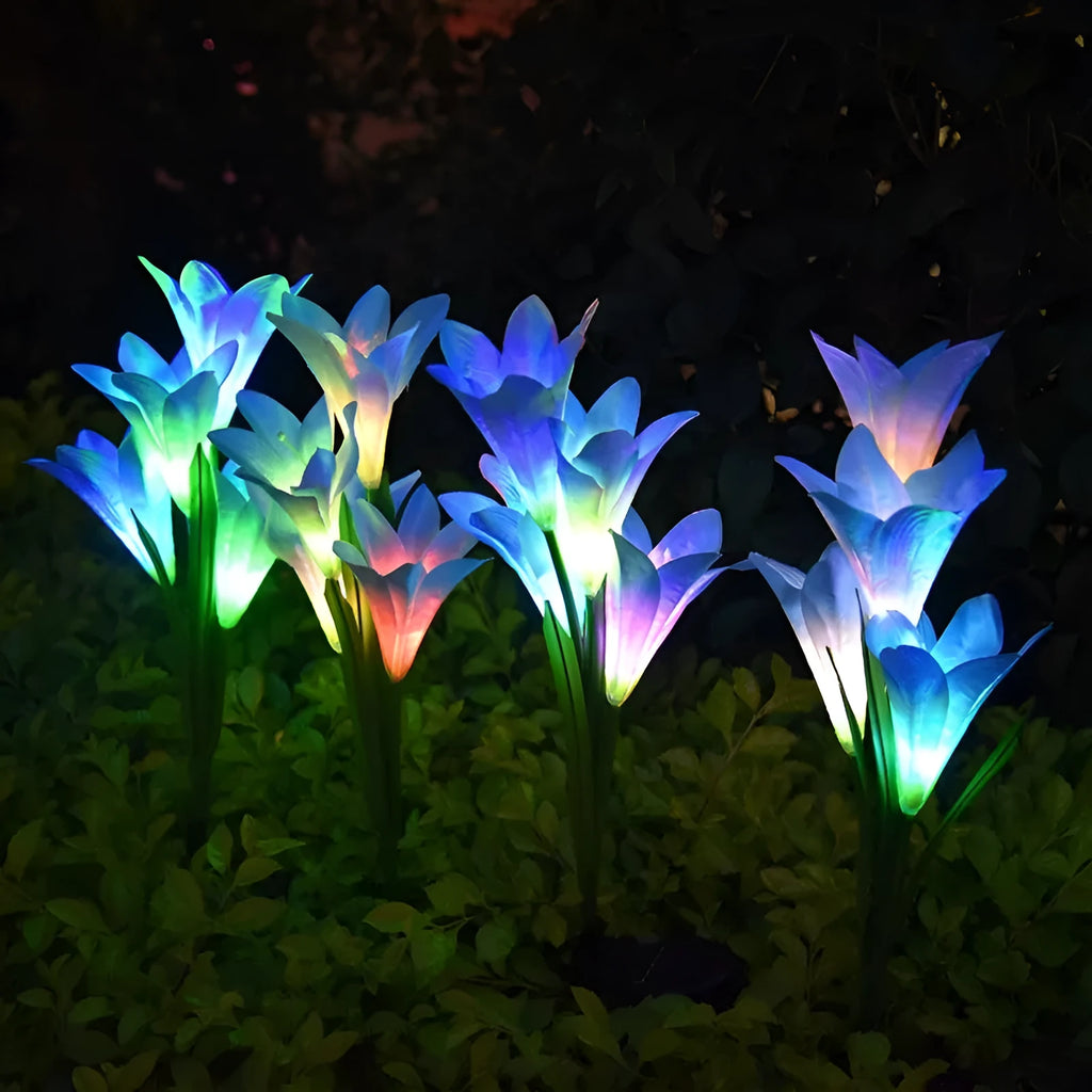 Solar powered colour LED flower lawn lamp for garden ground lighting